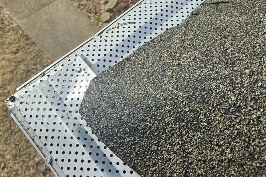 Mission Gutter Cleaning