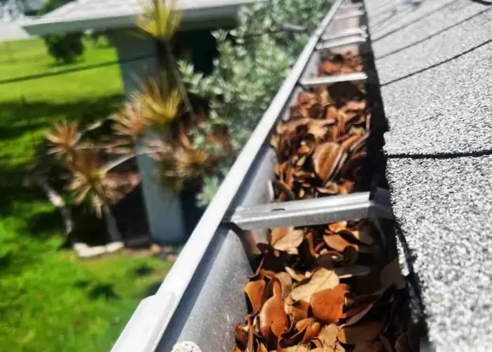 Mission gutter cleaning home page
