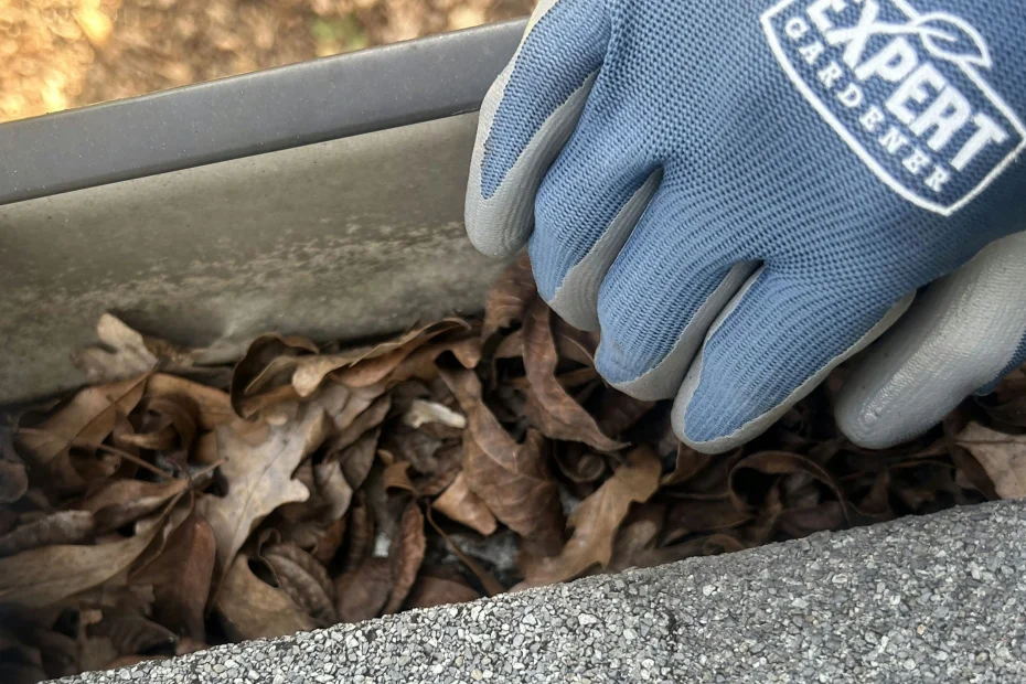 Gutter Cleaning Mission, KS