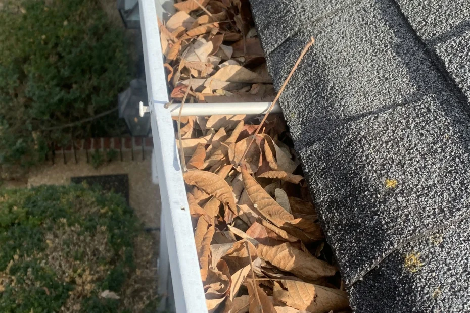 Gutter Cleaning Mission, KS