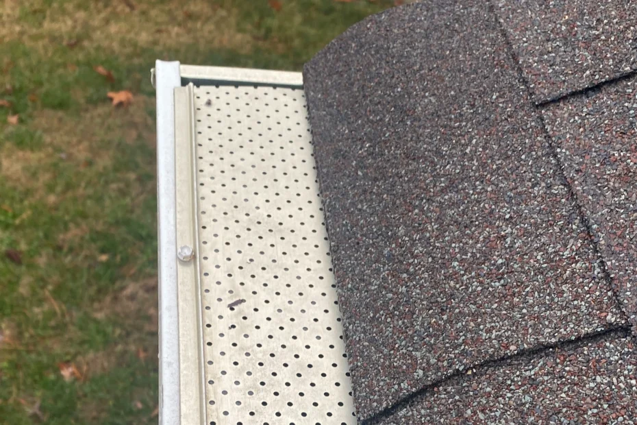 Gutter Cleaning Mission, KS